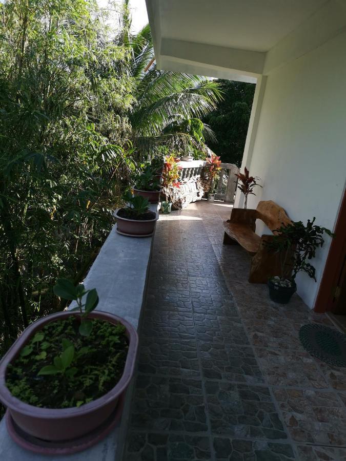 Anvel Homestay 바스코 외부 사진